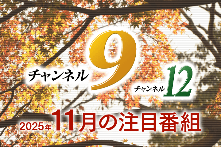 11月注目番組