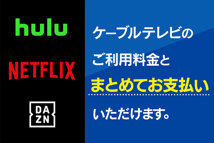 見たい作品がみつかる！動画配信サービス