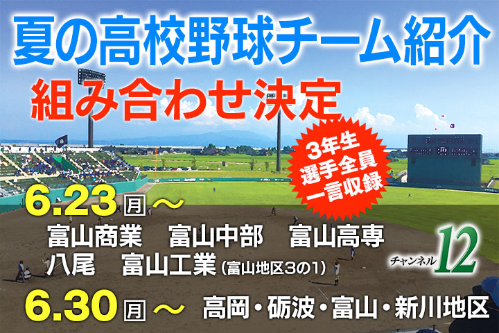 高校野球チーム紹介