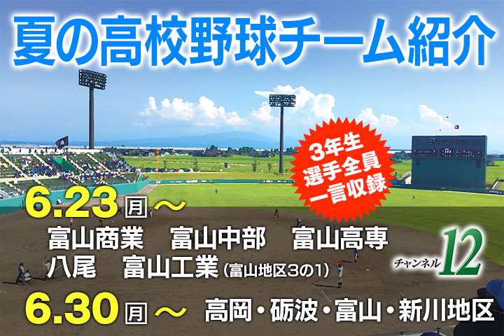 高校野球チーム紹介