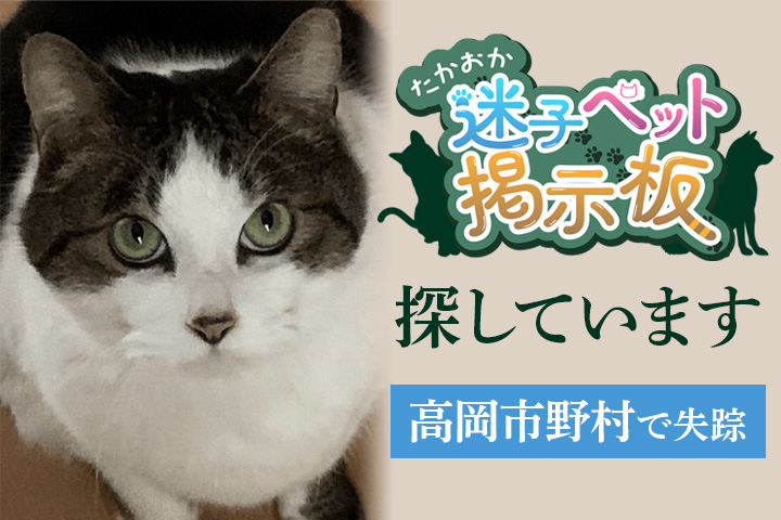 迷子ペット_なーな